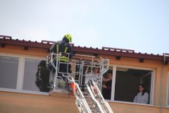 IMG_1193_1024x683