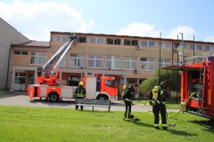 IMG_1252_1024x683