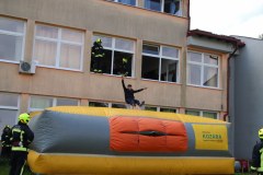 IMG_1409_1024x683