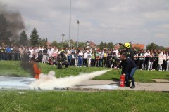 IMG_1681_1024x683