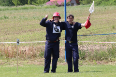 IMG_3348_1024x683