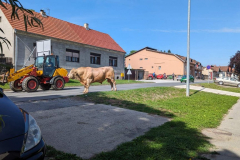 viber_slika_2024-05-28_09-59-01-563_1024x576