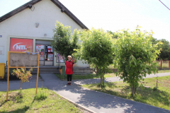 IMG_0271_1024x683