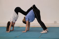 IMG_9223_1024x683