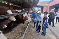 500031986_1213770843871572_2207622078390928526_n_1024x637