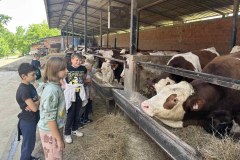 500661374_1213770710538252_4151915508519134588_n_1024x667