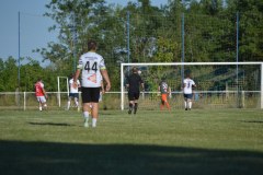 DSC_0124_1024x683