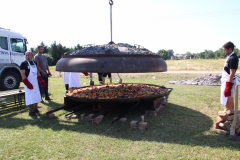 IMG_1193_1024x683