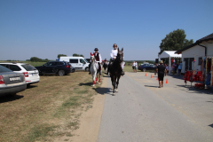 IMG_1340_1024x683