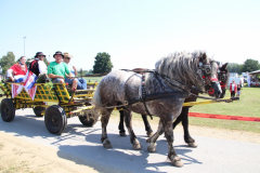 IMG_1351_1024x683
