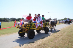 IMG_1353_1024x683