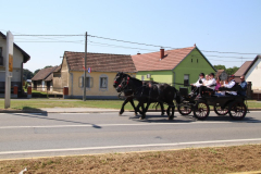 IMG_1367_1024x683