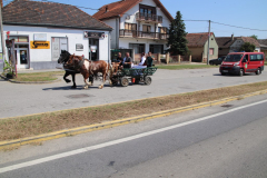 IMG_1388_1024x683