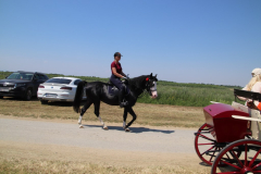 IMG_1420_1024x683