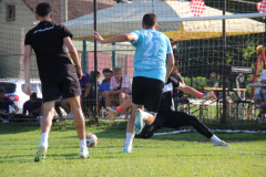 IMG_8049_1024x683