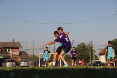 IMG_8110_1024x683