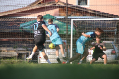 IMG_8206_1024x683