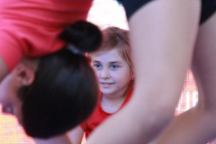 IMG_9150_1024x683