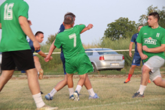 IMG_3428_1024x683