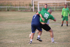 IMG_3489_1024x683