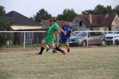IMG_3507_1024x683