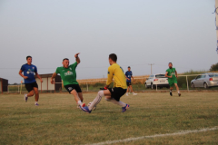 IMG_3536_1024x683