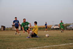 IMG_3537_1024x683