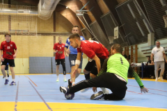 IMG_9426_1024x683