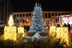 IMG_1050_1024x683