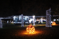 IMG_1315_1024x683