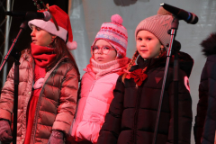 IMG_1492_1024x683
