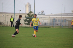 IMG_6472_1024x683