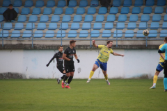 IMG_6509_1024x683