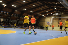 IMG_4668_1024x683
