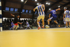 IMG_1129_1024x683