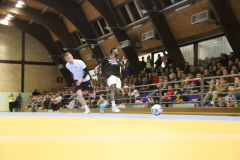 IMG_1511_1024x683