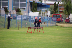 IMG_6823_1024x683