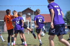 DSC_0028_1024x683