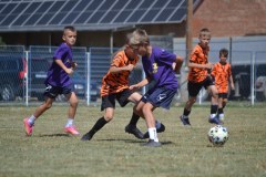 DSC_0038_1024x683