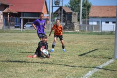 DSC_0044_1024x683