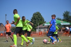 DSC_0050_1024x683