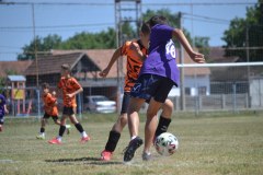 DSC_0075_1024x683