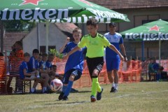 DSC_0089_1024x683