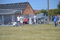 DSC_0146_1024x683