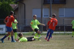 DSC_0187_1024x683
