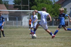 DSC_0197_1024x683