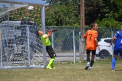 DSC_0222_1024x683