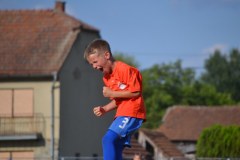 DSC_0348_1024x683