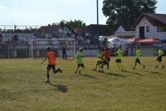 DSC_0374_1024x683