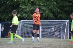DSC_0385_1024x683